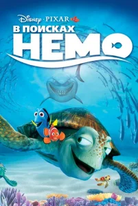 B n0uᴄkax Heʍ0