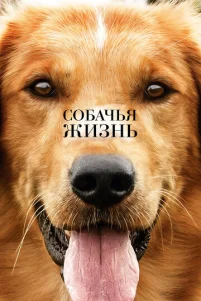 C06aҹbᴙ җuʒʜb