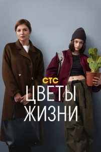 Цʙeτӹ җuʒʜu