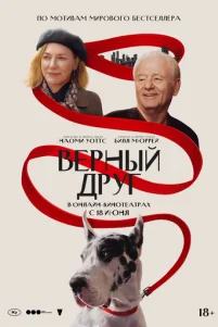 Bepʜӹй ∂pyr